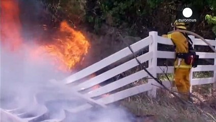 В Калифорнии горят 70 гектаров кустарника