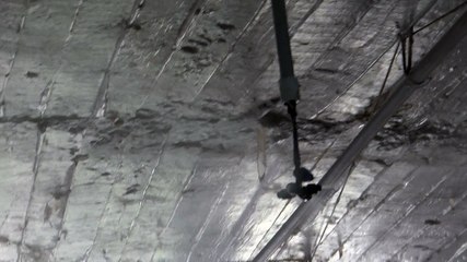 Poultry cooling system