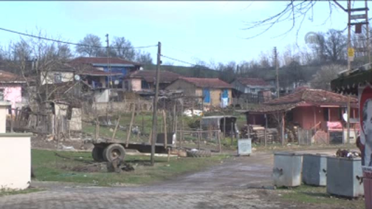 Organik Kayın Mantarı Geçim Kaynağı Oldu