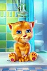 taking funny tom cat two