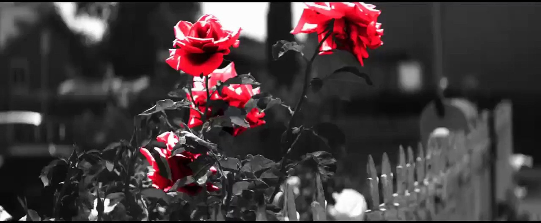 Chris Brown revive a la cantante Aaliyah