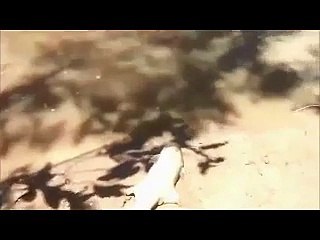 Amazing Video of Fish Stealing Fish