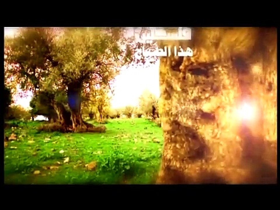 فلسطين هذا الصباح 1-4- 2015الاربعاء  ج1