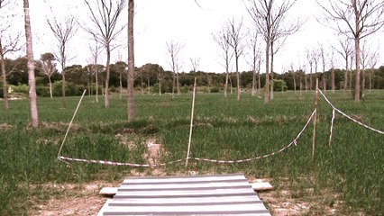 ECOSFIX - de l'utilisation et de l'intérêt des modèles en agriculture