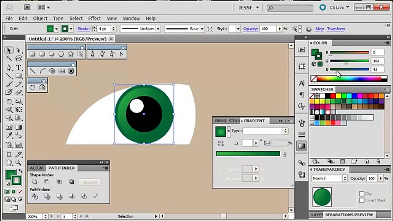 Step by step Adobe Illustrator Tutorial Part  8 - Education4u