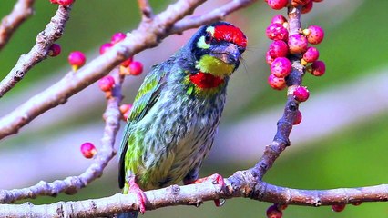 Steve Boyes with DJ Fresh on 5FM Radio Station