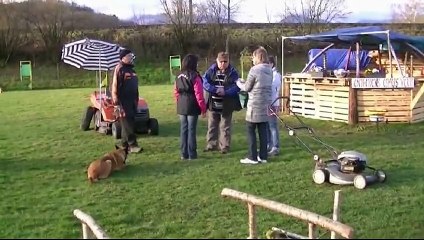 Fantasia, Mondioring 1, Montrejeau 2015