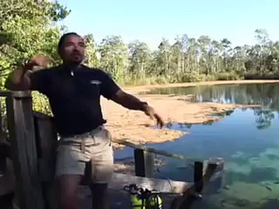 Cave Diving Eagle's Nest