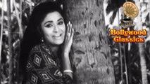 Dil Karne Laga Hai Pyar Tumhe - Mohammad Rafi & Hemlata Classic Old Song - Usha Khanna Songs