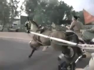 HORSE RACE NASEEBA WALI GORI VS CHARSI WECHARA HORSE RAWALPINDI