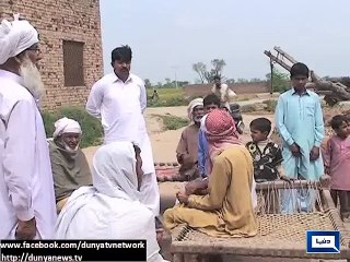 Dunya News-12 donkeys stolen from Nowshera Virkan's Village in Gujranwala