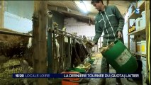 France 3 Loire - 31 mars 2015