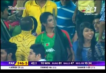 Full Time Cricket Mahol