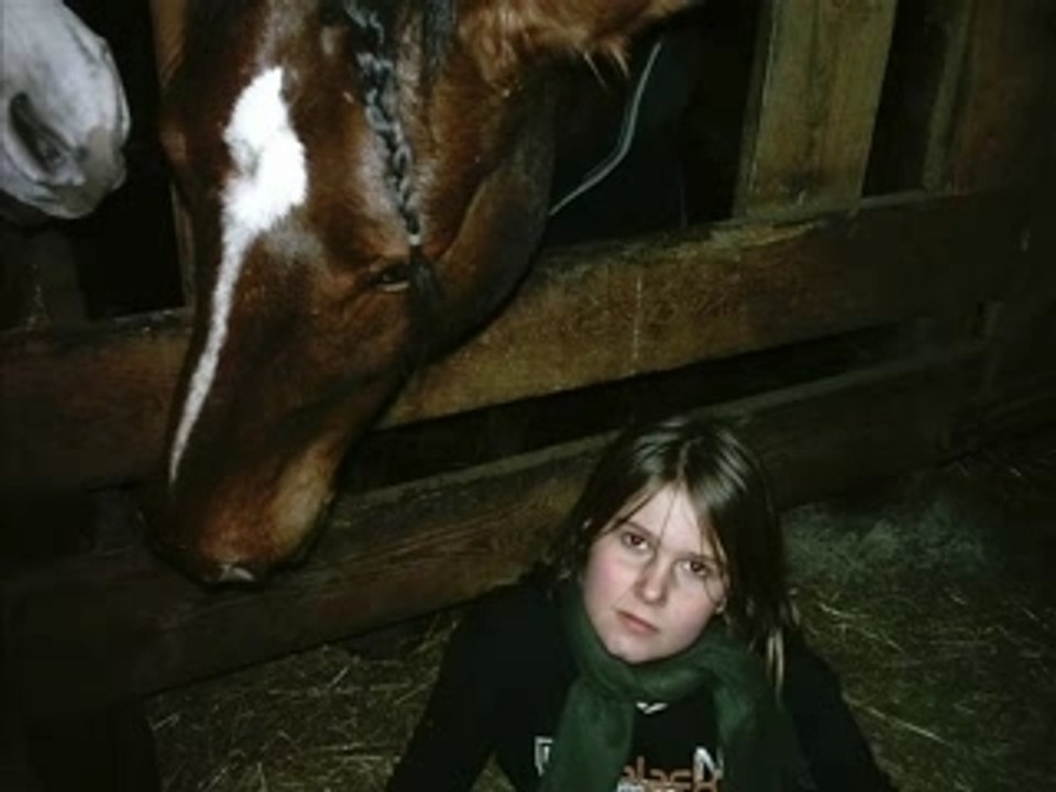 Good-boy un cheval de réve