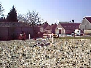 Cheval sbs 7ans par Master Van De Helle