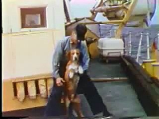 CGC Storis Video from 1962-63