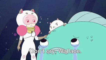 sexy Puppy Cats Song