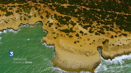 Algérie, la mer retrouvée - Thalassa - Bande-annonce du 03/04/2015