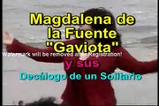 'Decálogo de un solitario' MAGDALENA DE LA FUENTE GAVIOTA PARA TI SOLITARIO DEL MUNDO