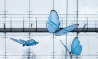 D'impressionnants papillons bioniques agissent en groupe