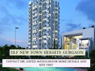 DFL NEW TOWN HEIGHTS GURGAON CALL 9650101388