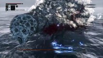 Bloodborne Boss, Rom l'Araignée Stupide
