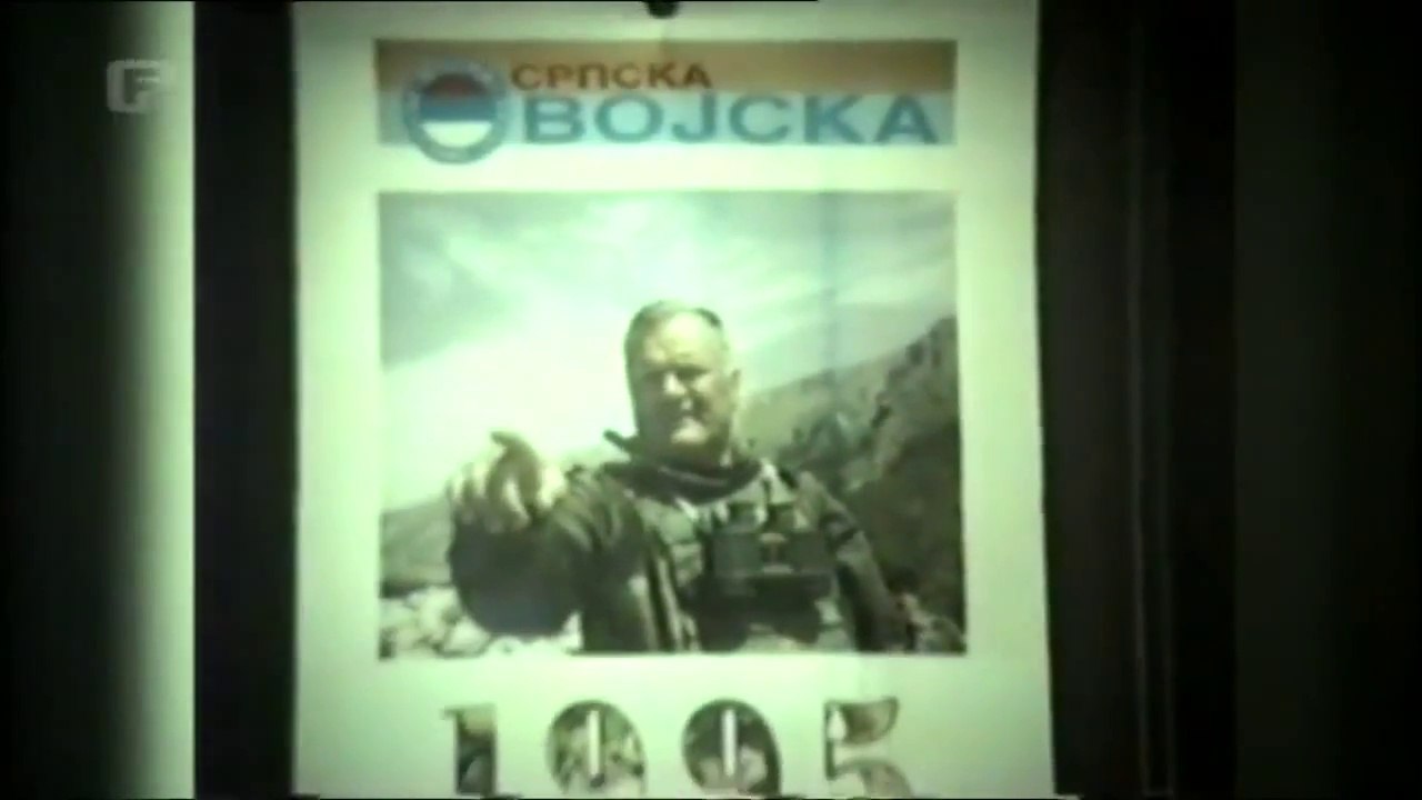 Mladić vodja udruženog zločinačkog poduhvata