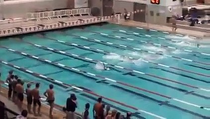 Ce n'est pas un Humain, c'est un Dauphin !