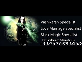 INDIA NO.1 ASTROLOGER VIKRAM SHASTRI +919878531080