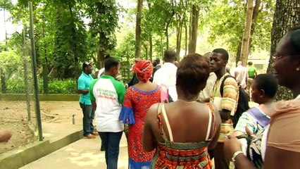 Côte d'Ivoire: les lions, symbole de l'après-crise au zoo