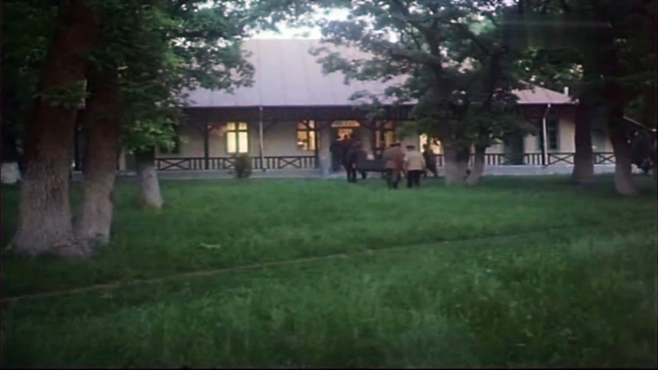 Surorile [1984]