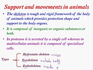 Support and Movement in animals/ Hydrostatic Skeleton/Exoskeleton