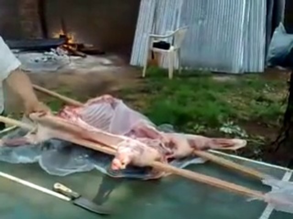 Enseñando a asar un cordero de los esteros