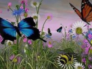 Summer wind - Frank Sinatra