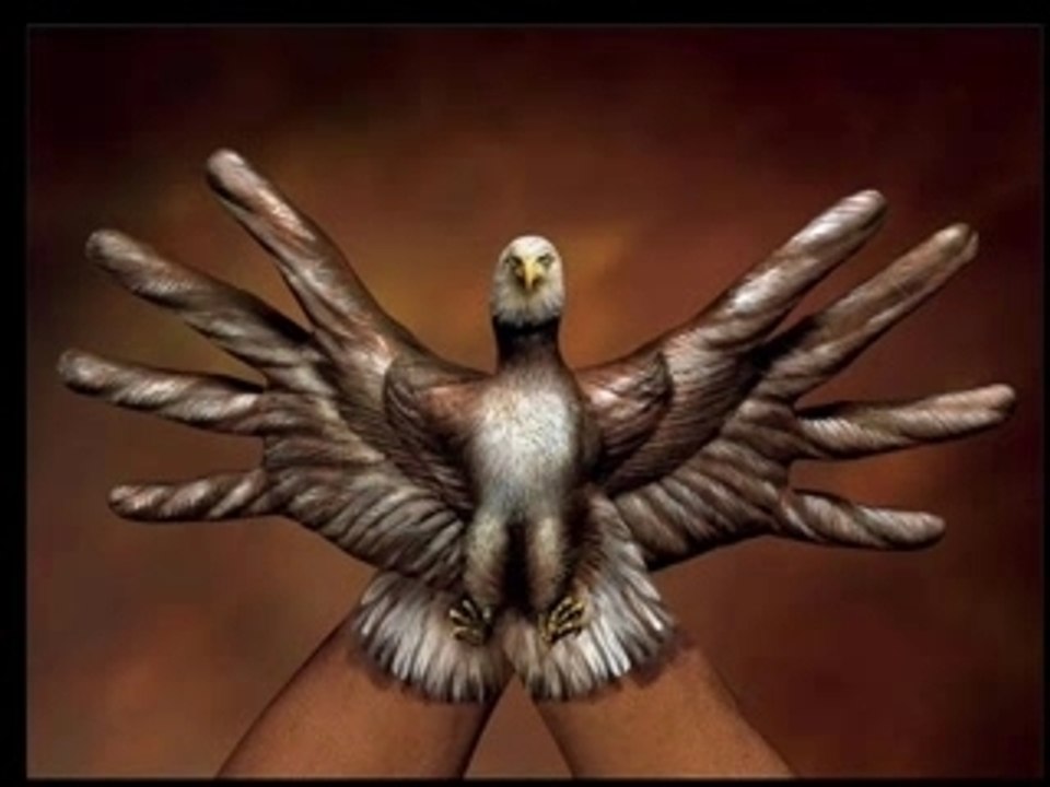 Animali con le mani