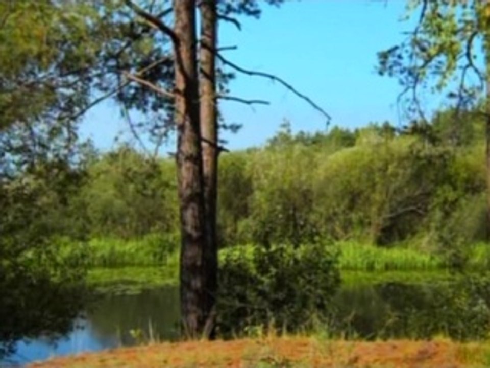 белые волки 4 серия