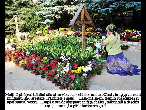 Minuni la mormântul Parintelui Arsenie Boca