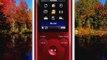 Sony NWZE383 4 GB Walkman MP3 Video Player Red