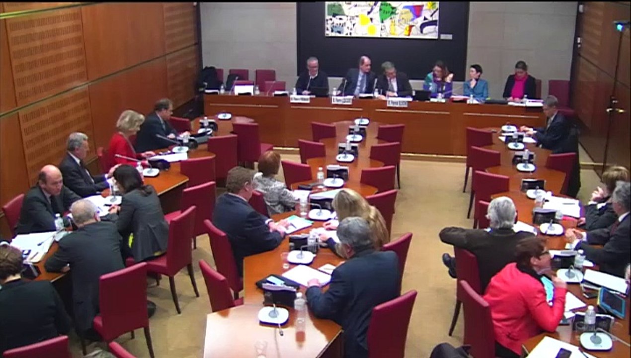 Intervention d'Hervé Féron en Commission des Affaires Culturelles et de l'Education : Audition de MM. Pierre Lescure, président du Festival de Cannes, et Thierry Frémaux, délégué général