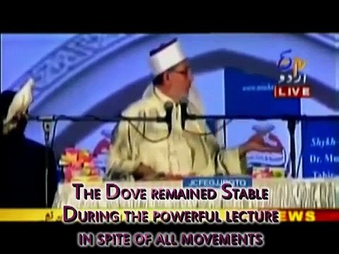 Mumbai India and Miracle of Dove at Lecture of Dr.Muhammad Tahir-ul-Qadri