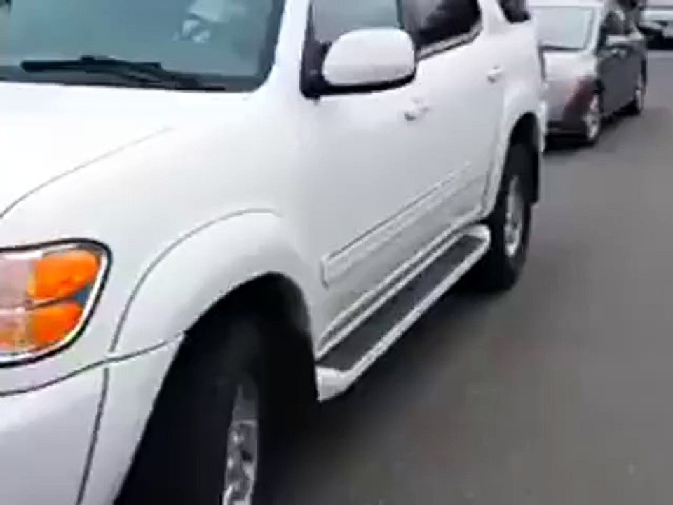 dog is driving must watch