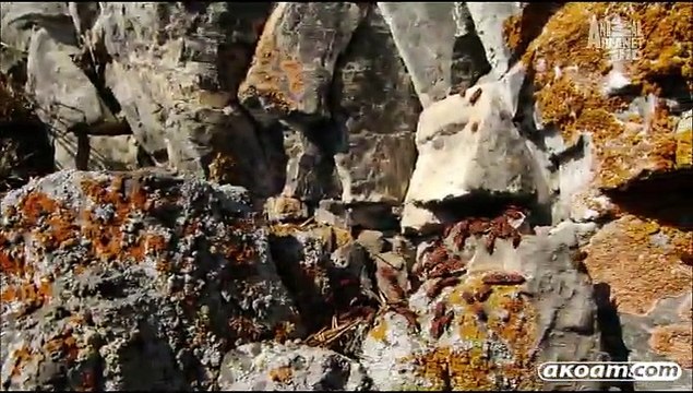 السلسلة الوثائقية روسيا البرية Wild Russia - الحلقة السادسة الأورال - Urals