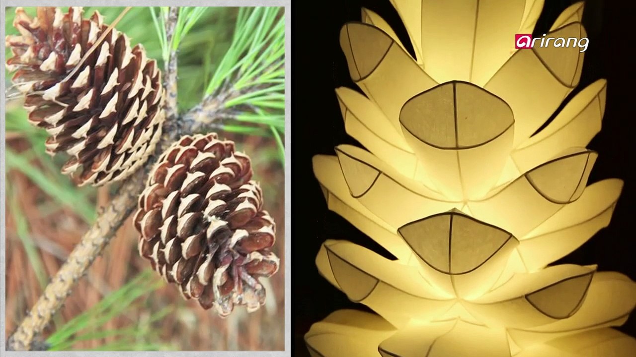 Hanji Adorned with Light 한지, 빛을 입다