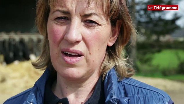 Producteurs de lait. L'avantage de travailler en famille