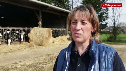 Quotas laitiers. L'exemple d'une ferme du Morbihan