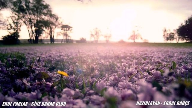 EROL PARLAK-GİNE BAHAR OLDU