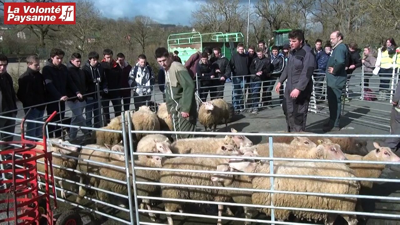 MSA Midi-Pyrénées-Nord et lycées agricoles