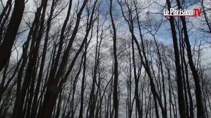 Nouveau chemin des crêtes sur les buttes du Parisis