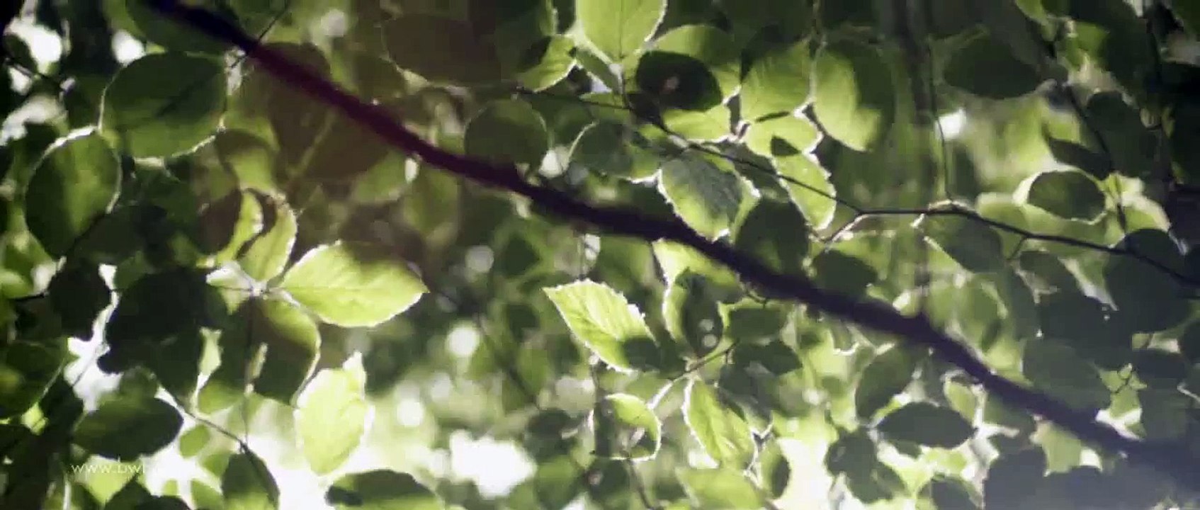 Arthur Siphon #waterverzachters #waterbehandeling #waterontharder #ontkalker #Gent#depinte #Latem #Drongen #BWT #Gourmet #Loodgieterdrinkwater