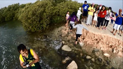 WOMENS HOSPITAL UTZ SECTION @ PURPLE ISLAND